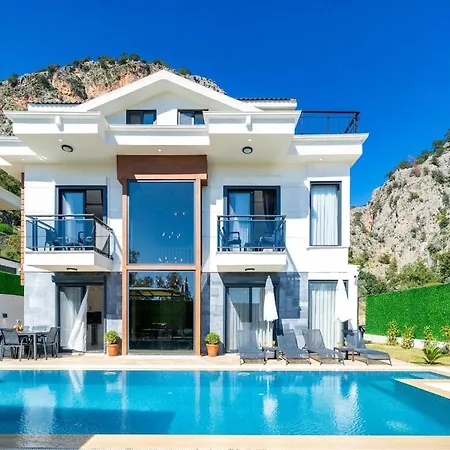 Villa Aselya-villa With Private Pool For 8 Persons In Gocek Fethiye