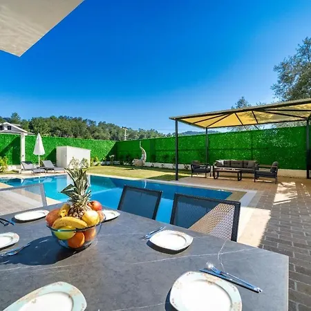 Aselya-villa With Private Pool For 8 Persons In Gocek * フェティエ