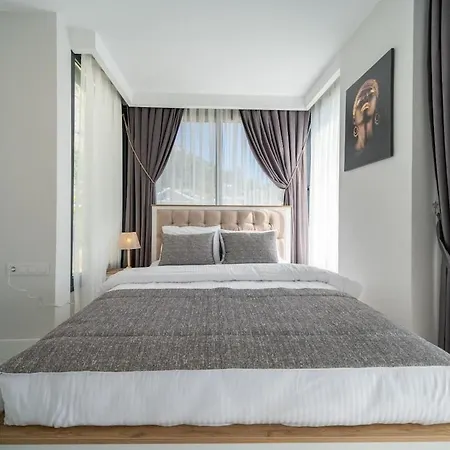 Aselya-villa With Private Pool For 8 Persons In Gocek Villa *