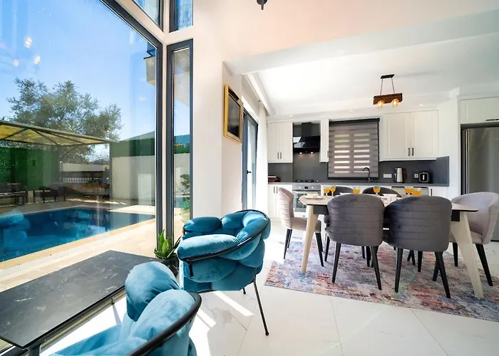 Villa Aselya-villa With Private Pool For 8 Persons In Gocek *