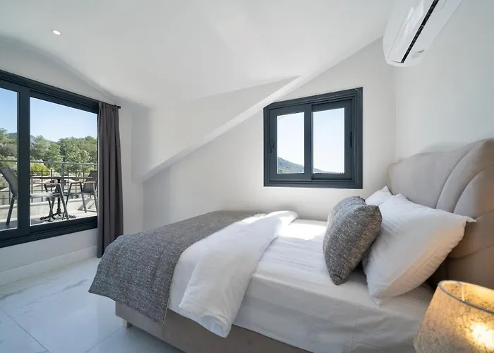 Aselya-villa With Private Pool For 8 Persons In Gocek Villa *