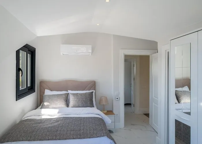 Aselya-villa With Private Pool For 8 Persons In Gocek Villa
